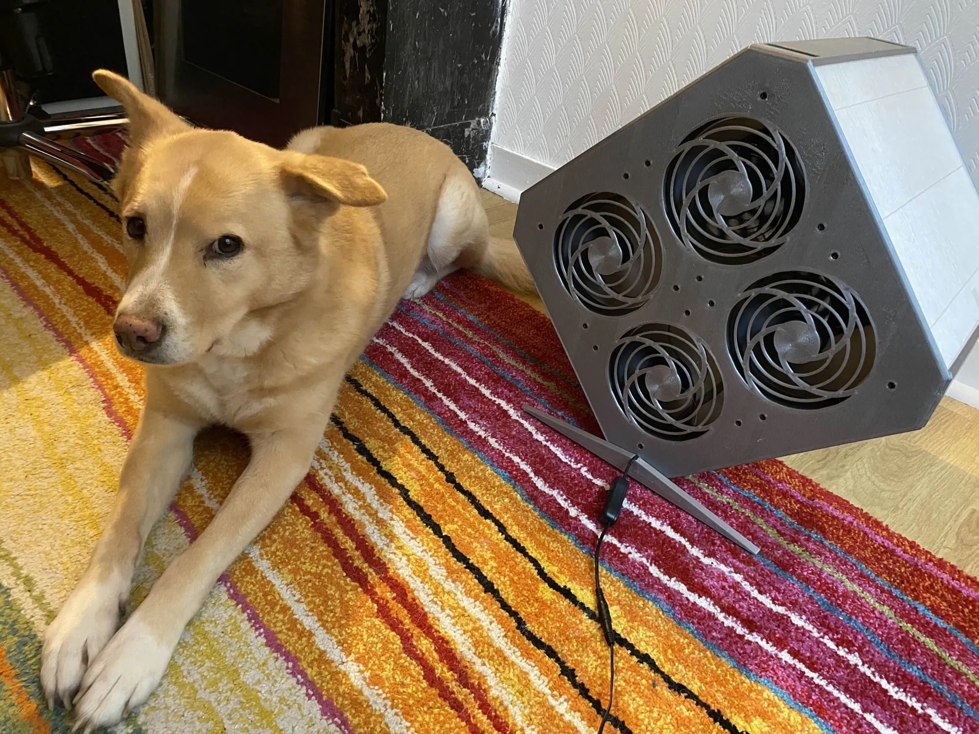 Purificateur d’air artisanal de forme hexagonale, au boîtier gris métallisé, posé sur un petit pied incliné. Sa face avant est percée de quatre ventilateurs aux grilles en spirale, et un câble noir avec interrupteur en ligne court au sol. À gauche, un chien au pelage beige clair, couché sur un tapis rayé orange, rouge et jaune, regarde sur le côté.